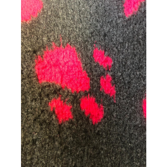 Cuccia grigia/zampe rosa Cuccia grigia/zampe rosa