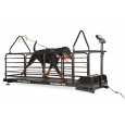 Tapis roulant per cani Dog Runner – Revolution Pro