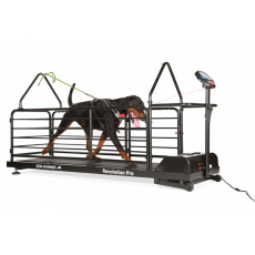 Tapis roulant per cani Dog Runner – Revolution Pro