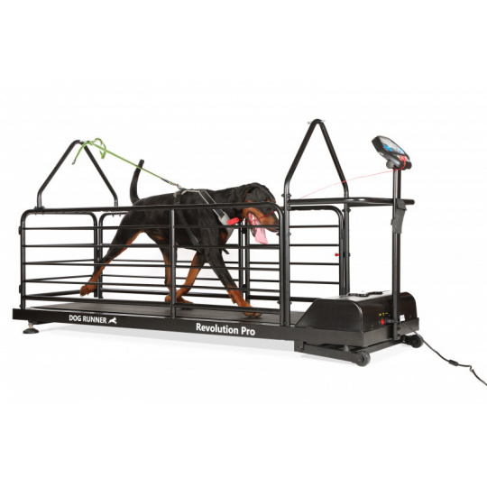 Tapis roulant per cani Dog Runner – Revolution Pro