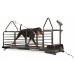 Tapis roulant per cani Dog Runner – Revolution Pro