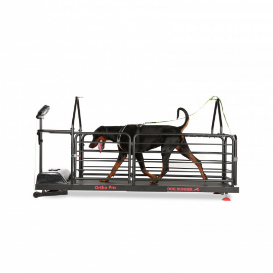 Tapis roulant per cani - Ortho Pro